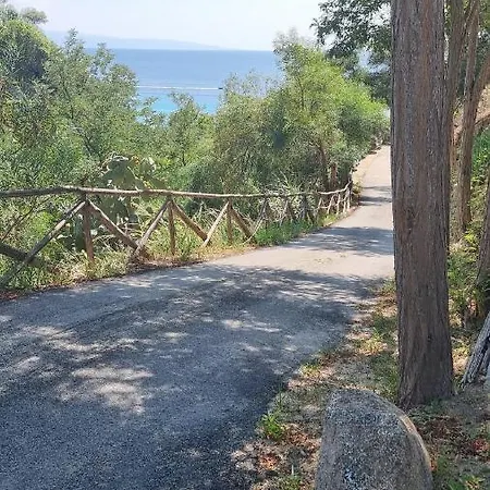 Valgiusi